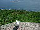 DSCN0018_2.JPG