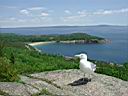 DSCN0020_2.JPG