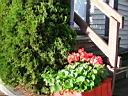 DSCN0942.JPG