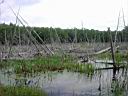 DSCN0987.JPG