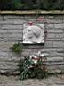 DSCN5042.JPG