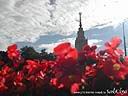 DSCN0059.JPG