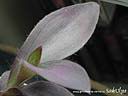 DSCN3249.JPG