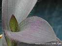 DSCN3251.JPG