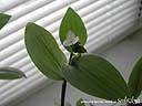 DSCN3708.JPG