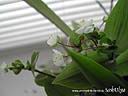 DSCN3710.JPG