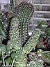 DSCN4351.JPG