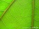 DSCN4953.JPG