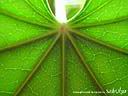 DSCN4967.JPG