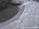 DSCN2433.JPG