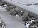 DSCN2471.JPG