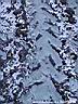 DSCN2479.JPG