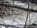 DSCN2484.JPG