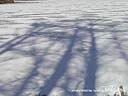 DSCN2486.JPG