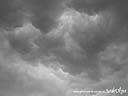 DSCN4904.JPG