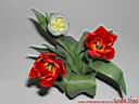 tulip19.jpg