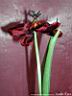 DSCN2102.JPG