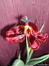 DSCN2104.JPG