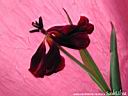 DSCN2105.JPG