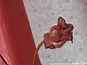 DSCN2133.JPG