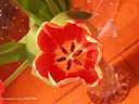 DSCN2624.JPG