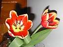 DSCN2642.JPG