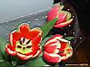 DSCN2643.JPG
