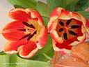 DSCN2649.JPG
