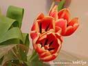 DSCN2672.JPG