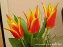DSCN3424.JPG