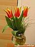 DSCN3426.JPG