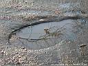 watermirror07.jpg